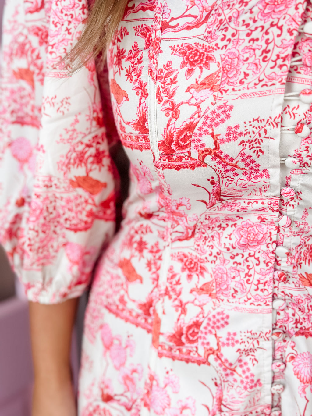 Floral Toile Dress